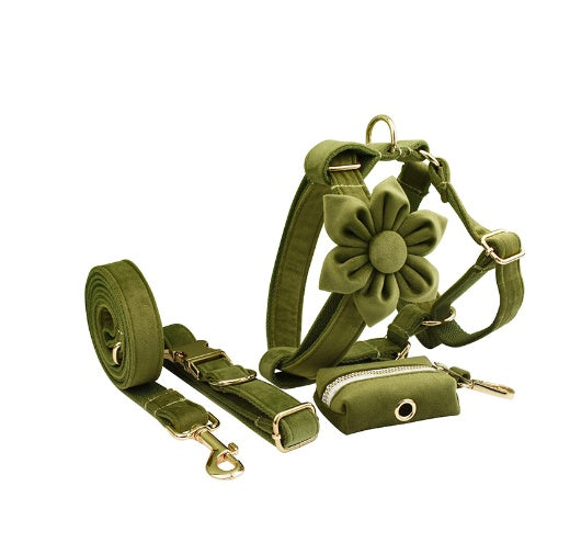 Velvet Collection, Complete Set: Pet Collar, Harness, Leash, Waste Bag Holder, & Removable Bow + Flower