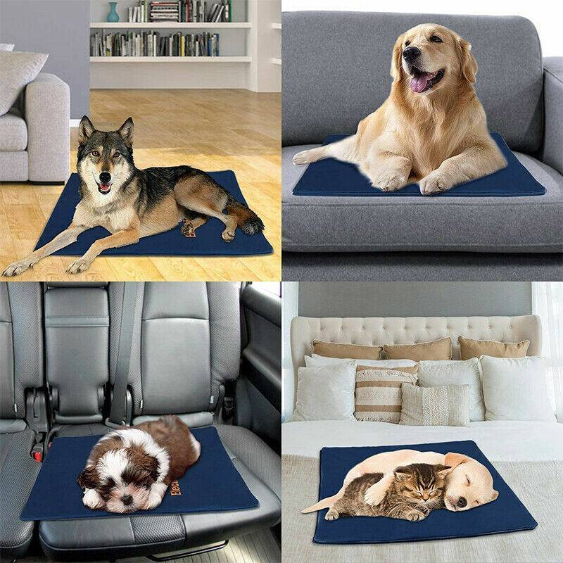 Electric Pet Heat Pad-Waterproof, Chew Resistant