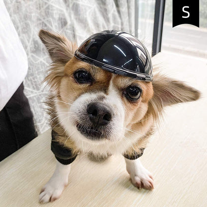 Pet Helmet Headwear and Goggles