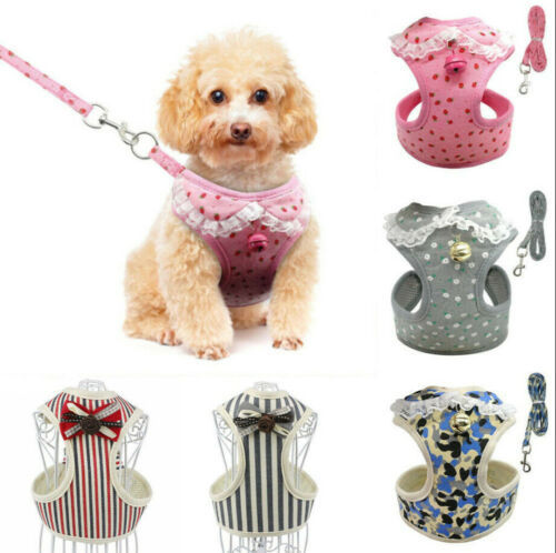 Fancy Harness & Least Set w/ Frills or Bowtie