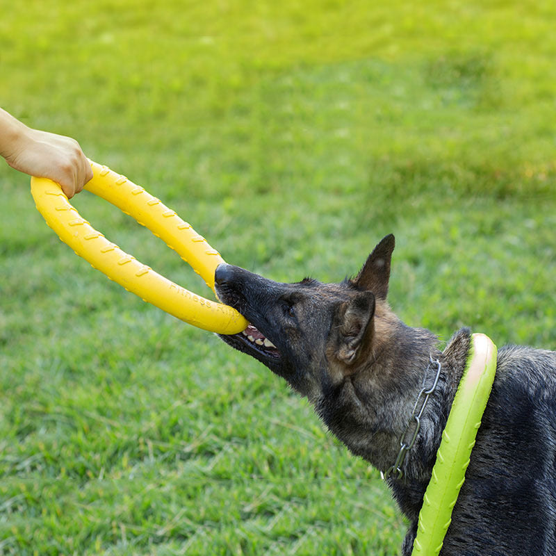 Heavy Duty Pull Ring Pet Toy