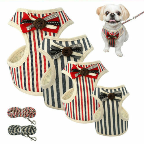 Fancy Harness & Least Set w/ Frills or Bowtie