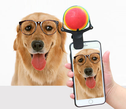 Tennis Ball Phone Clip for Pet Photos