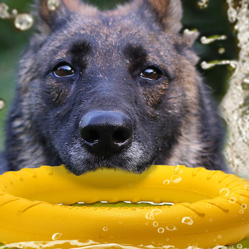 Heavy Duty Pull Ring Pet Toy