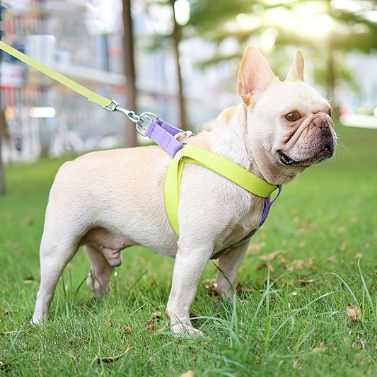 Anti-Escape, Easy to Put On,  Color block Harness & Leash Set (S-L)