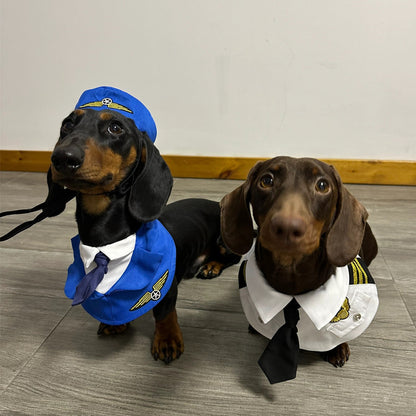 Pilot Dog Costume/ Accessories