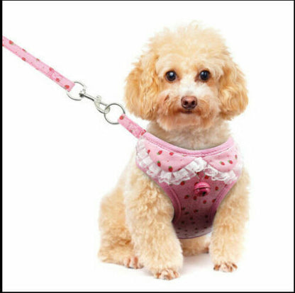 Fancy Harness & Least Set w/ Frills or Bowtie