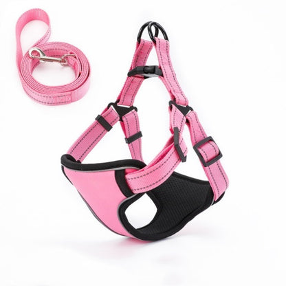 Easy to Put On, Colorful Harness & Leash Set