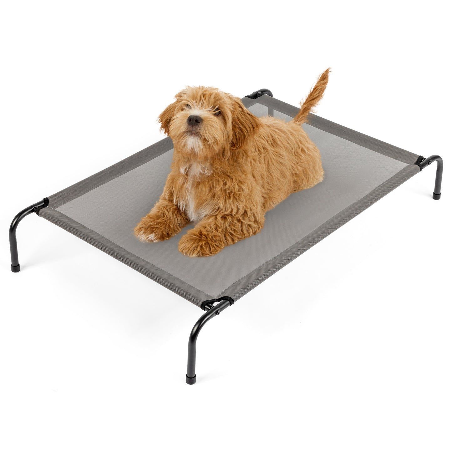 SMALL Raised Pet Bed/Cot