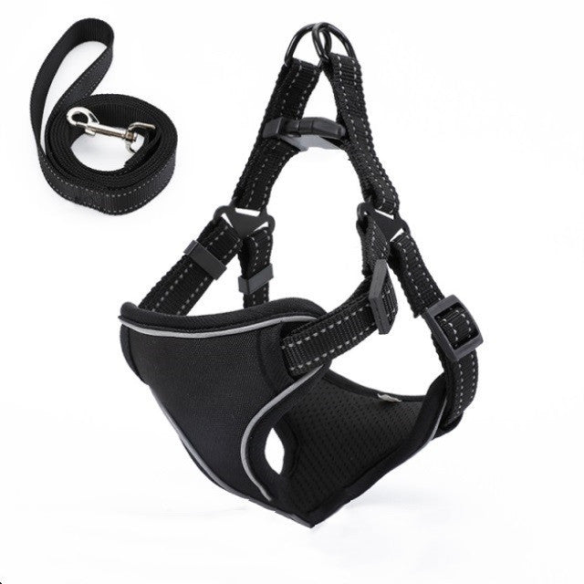 Easy to Put On, Colorful Harness & Leash Set