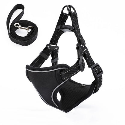 Easy to Put On, Colorful Harness & Leash Set