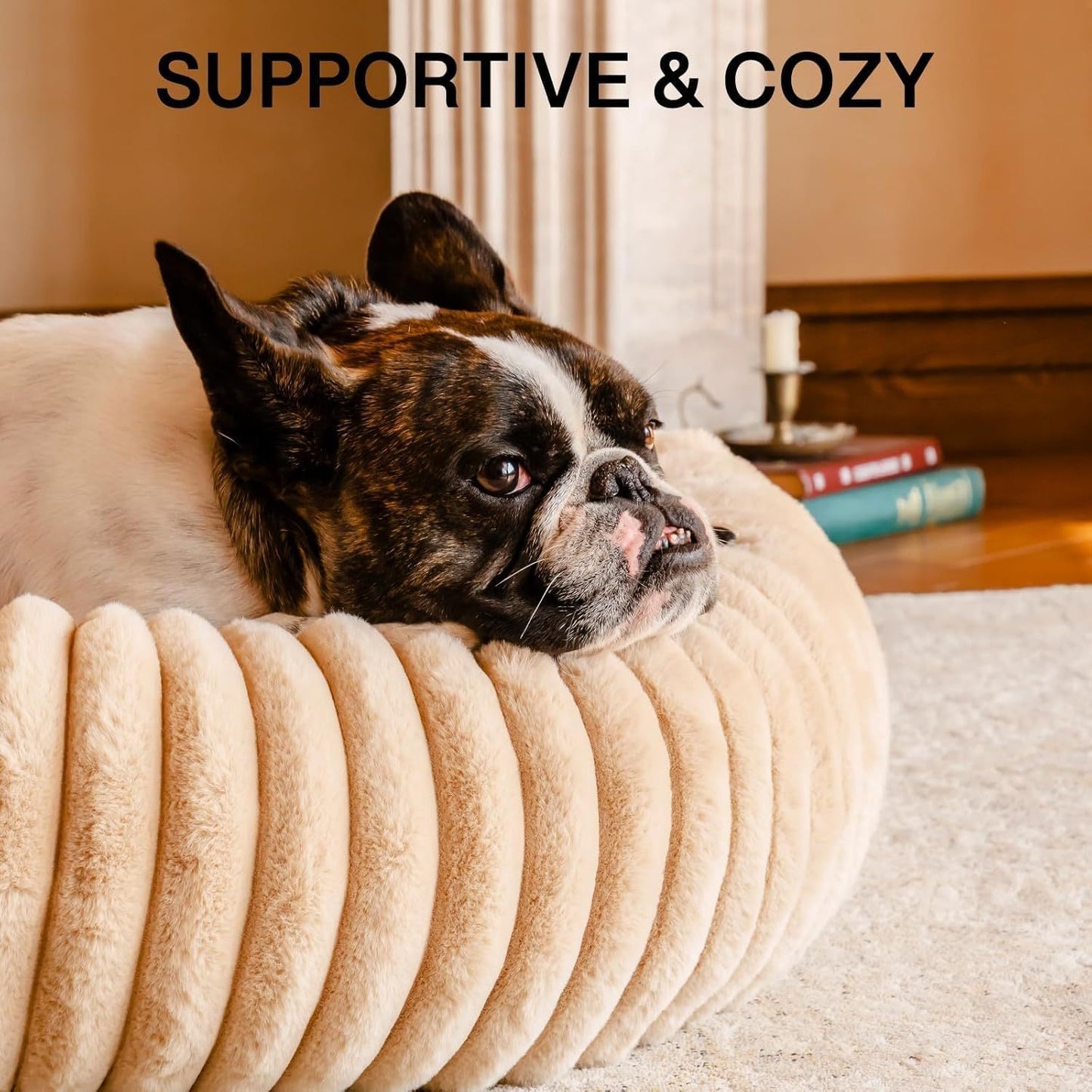 Medium- Washable Dog Bed w/ Non-Slip Bottom-Up to 45 lbs