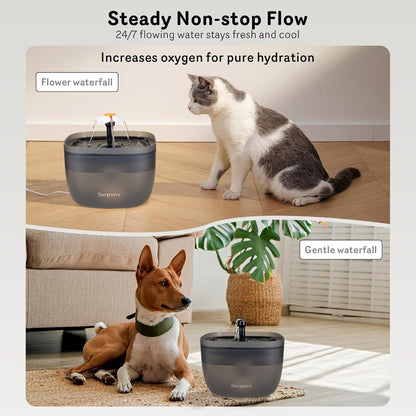Dual Pet Cat Feeder & Water Dispenser With Locking Lid, Precise Portion Control For 4 Daily Meals, 10s Voice Recording Option