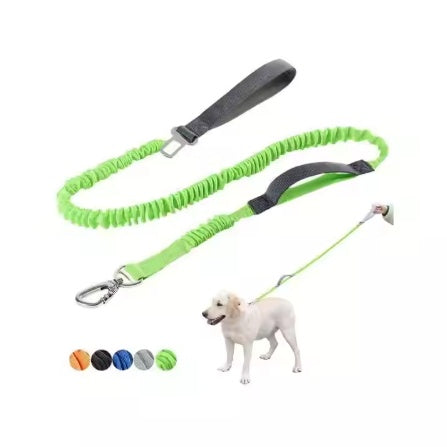 Heavy Duty Bungee Leash, 4-6 Feet Long