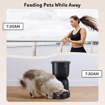 Dual Pet Cat Feeder & Water Dispenser With Locking Lid, Precise Portion Control For 4 Daily Meals, 10s Voice Recording Option