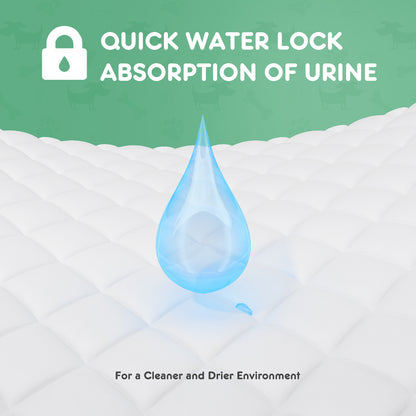 Leak-Proof, Disposable Pee Pads