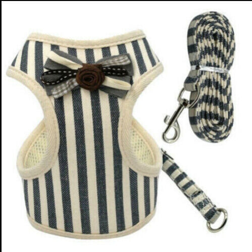 Fancy Harness & Least Set w/ Frills or Bowtie