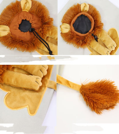 Lion Design, Travel Pet Handbag With Safety Zippers