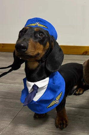 Pilot Dog Costume/ Accessories