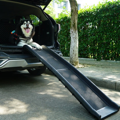 Portable, Foldable Pet Ramp