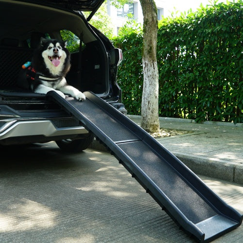 Portable, Foldable Pet Ramp