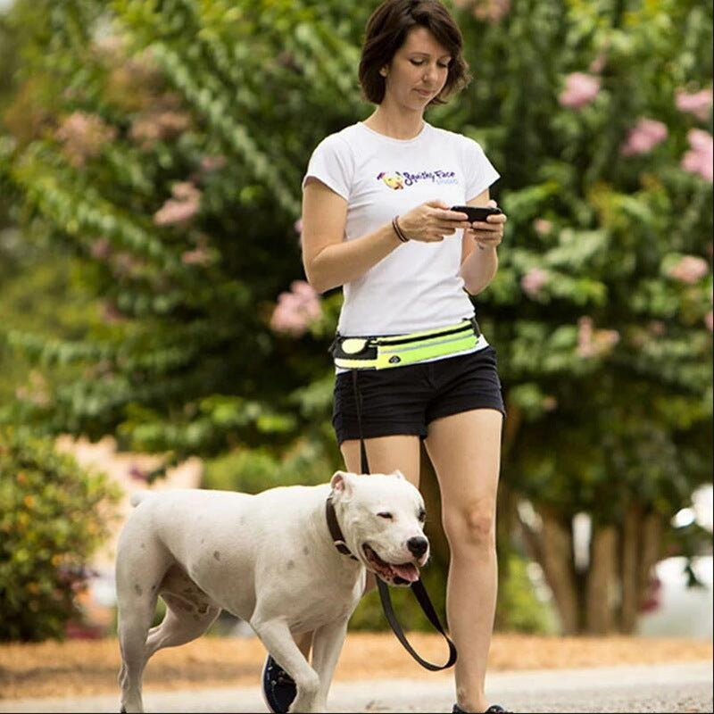 Hands Free Dog Leash, Pet Walking And Training Belt With Shock Absorbing Bungee Leash For Up To 180lbs Large Dogs Phone Pocket And Water Bottle Holder