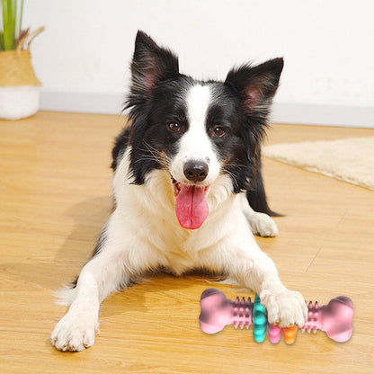 Indestructible Chew Toy Bone