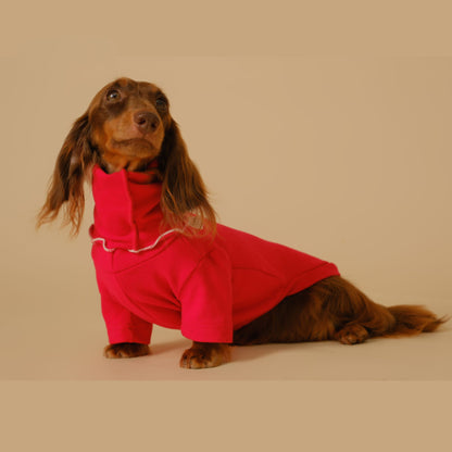 Dachshund Turtleneck Sweater