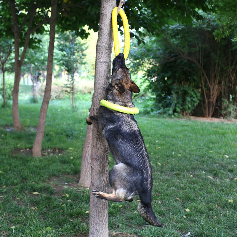 Heavy Duty Pull Ring Pet Toy
