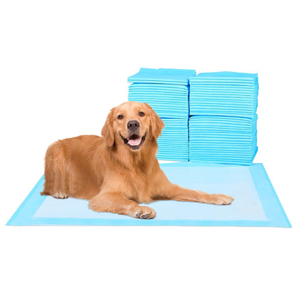 Premium Disposable Training Pads/Pee Pads, 40 Pcs 30x30 In
