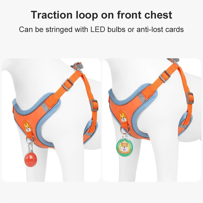 Dog Reflective Harness and Leash Set