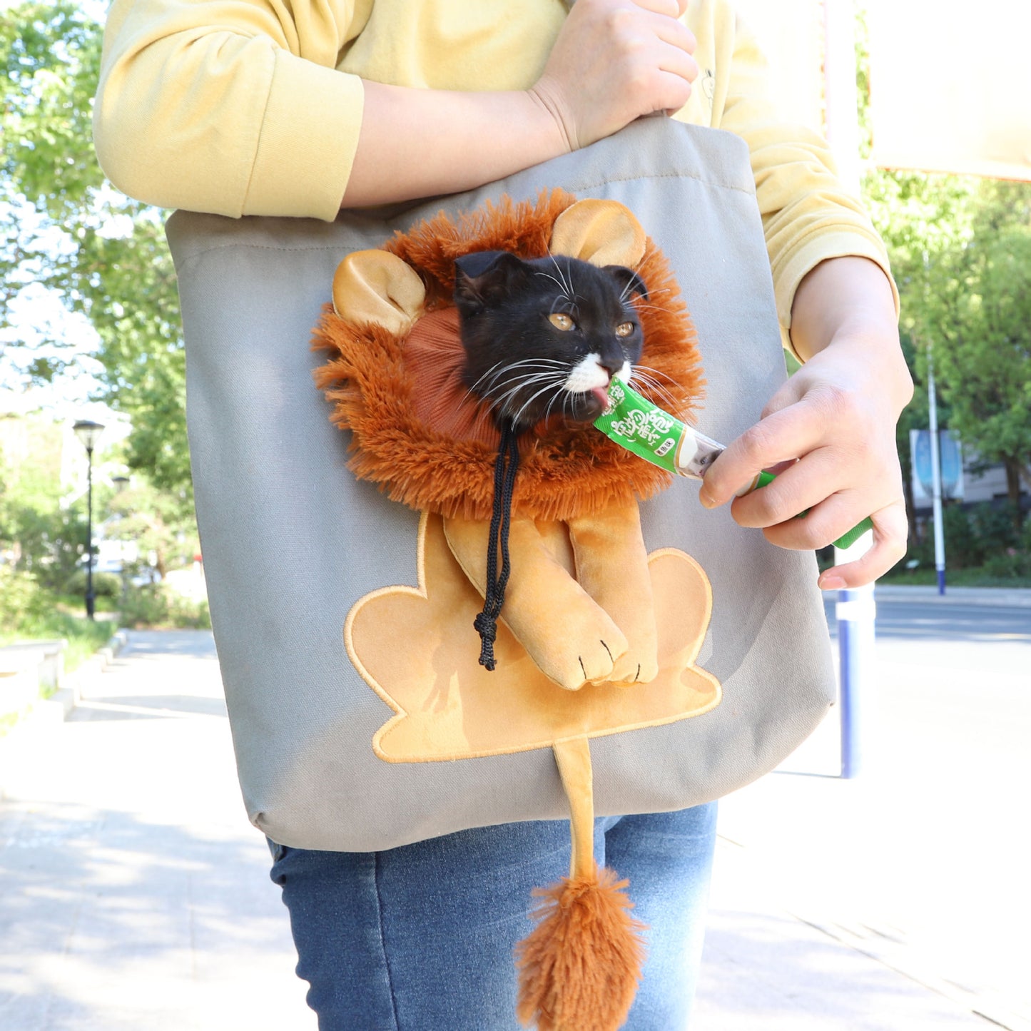 Lion Design, Travel Pet Handbag With Safety Zippers