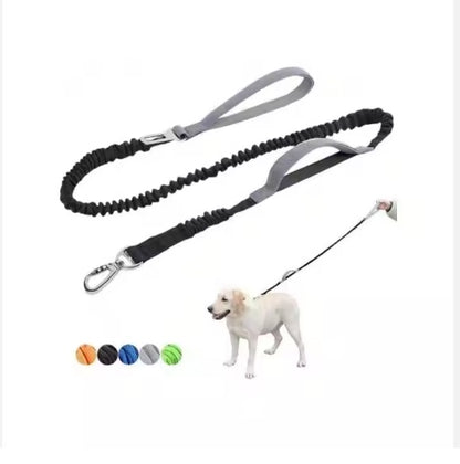 Heavy Duty Bungee Leash, 4-6 Feet Long