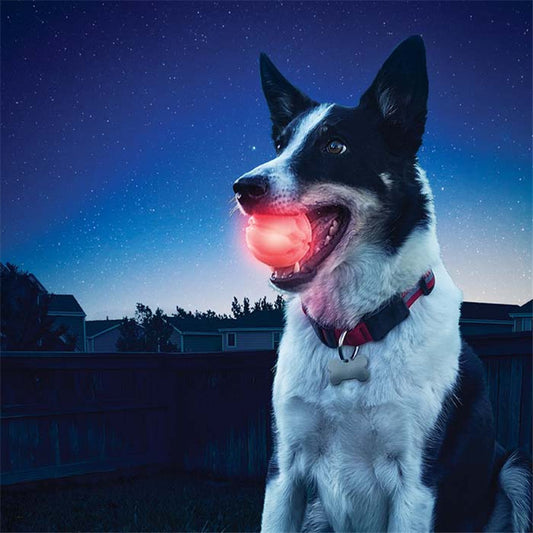 LED Ball Toy