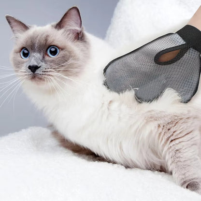Cat and Dog Grooming Glove