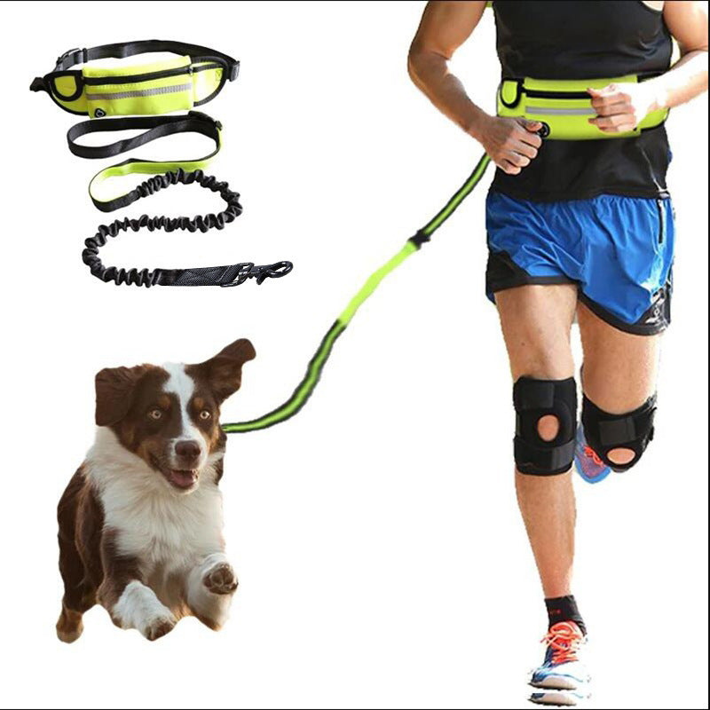 Hands Free Dog Leash, Pet Walking And Training Belt With Shock Absorbing Bungee Leash For Up To 180lbs Large Dogs Phone Pocket And Water Bottle Holder