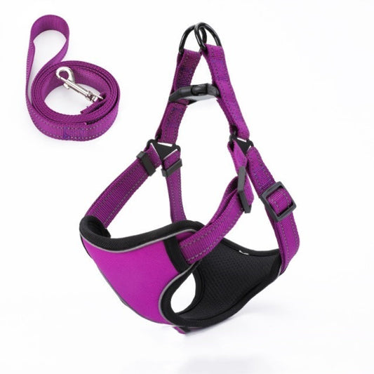 Easy to Put On, Colorful Harness & Leash Set