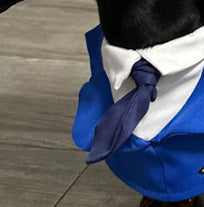 Pilot Dog Costume/ Accessories