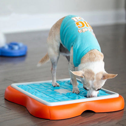 Hidden Food, Animal Enrichment Toy