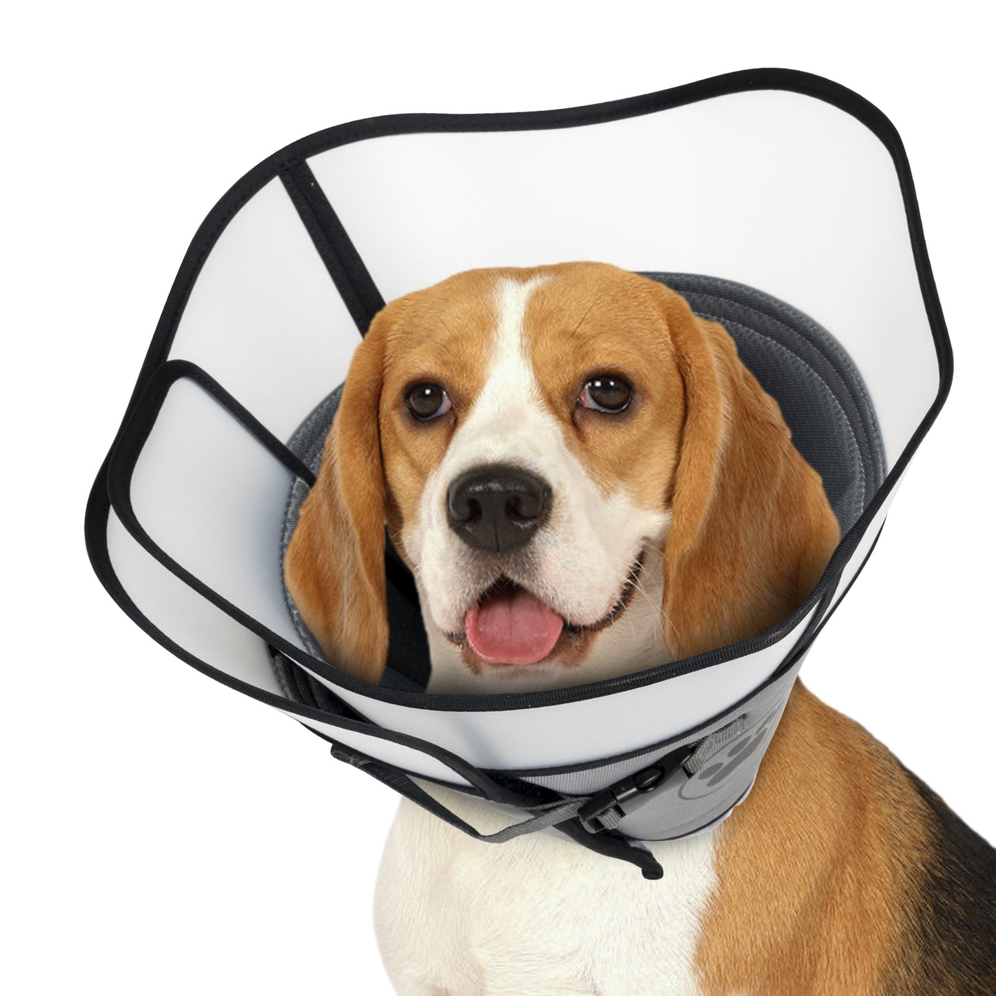 Double Layer E-Collar for Dogs