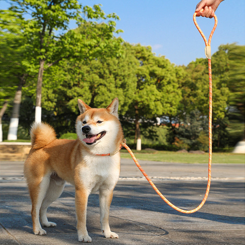 Dog Rope Slip Leash