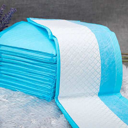 Absorbent, Disposable Potty Pads