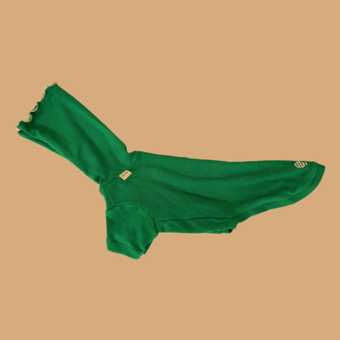 Dachshund Turtleneck Sweater
