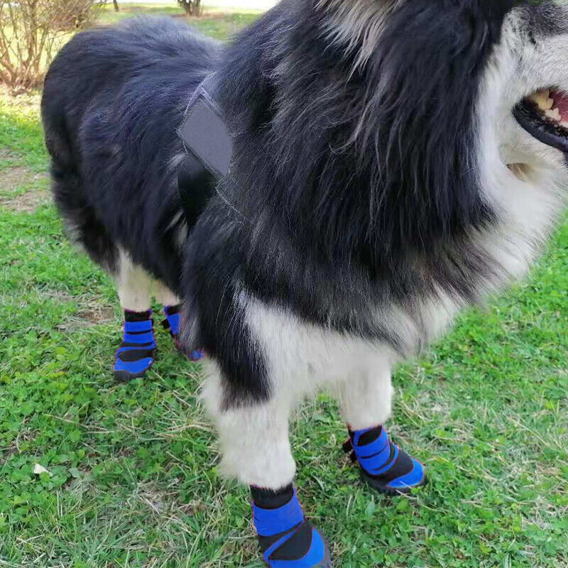 4x Blue Anti-Slip, Waterproof Pet Boots Dog (XXS-L)