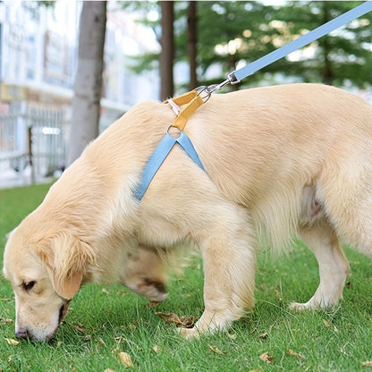 Anti-Escape, Easy to Put On,  Color block Harness & Leash Set (S-L)
