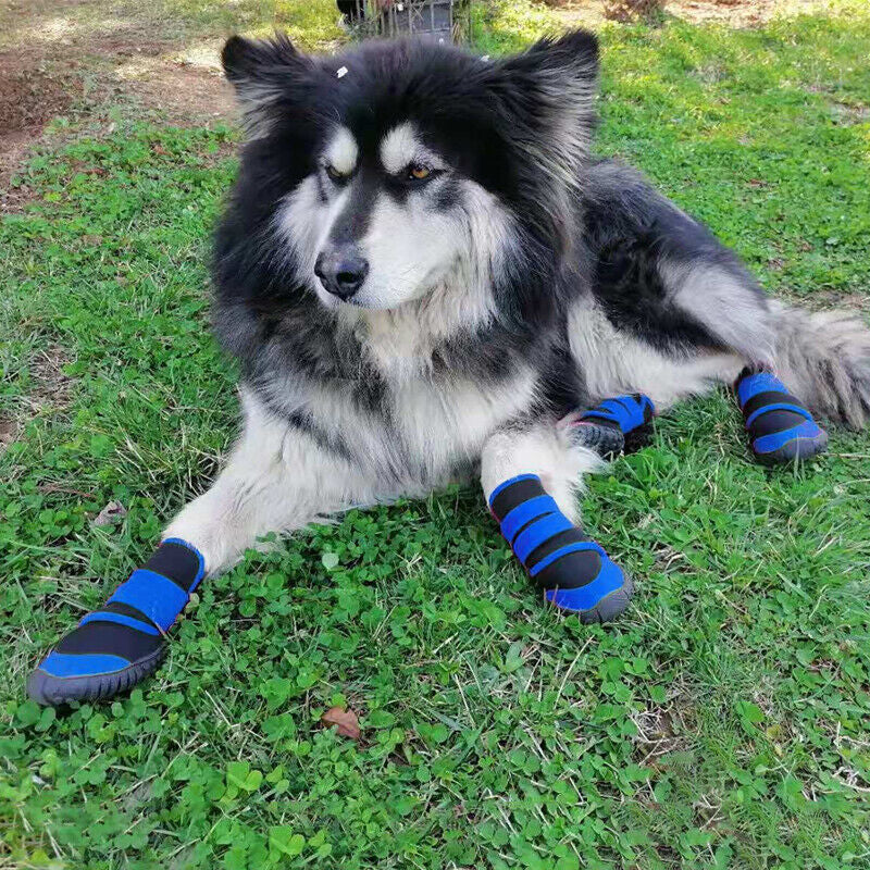 4x Blue Anti-Slip, Waterproof Pet Boots Dog (XXS-L)