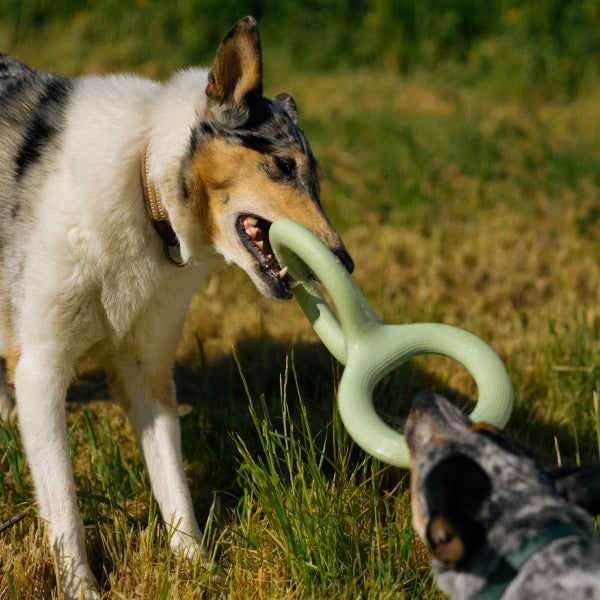 Rubber Tug Play Toy