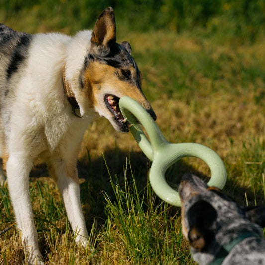 Rubber Tug Play Toy