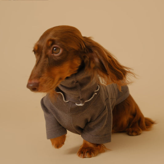 Dachshund Turtleneck Sweater