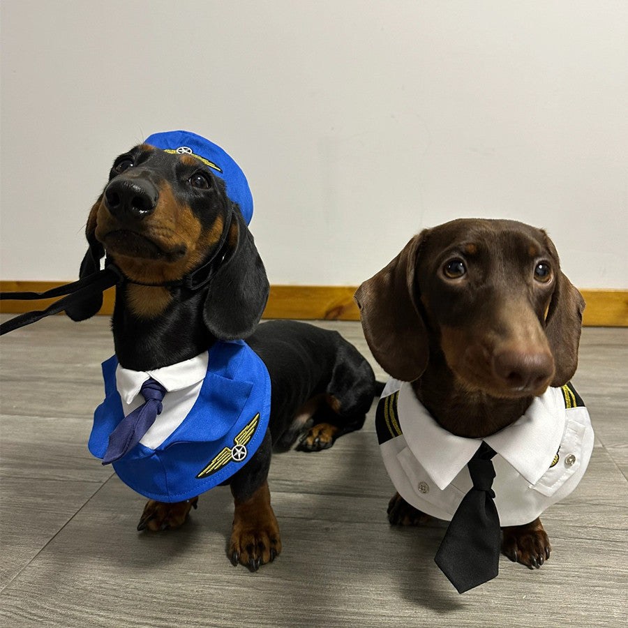 Pilot Dog Costume/ Accessories